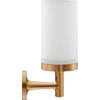 Duravit Starck T Glashouder 6,5x9,8x17,3 cm Brons Geborsteld
