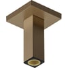Hansgrohe Pulsify E Plafondaansluiting Brushed Bronze