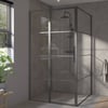Saniselect Dato Zijwand 100x210 cm Mat Zwart Helder Glas