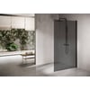 Ben Delphi Inloopdouche met Grijs Glas 80x200 cm Mat Zwart