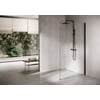 Ben Delphi Inloopdouche met Helder Glas 80x200 cm Mat Zwart