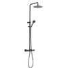 Ben Lavion 250 Regendoucheset Cool met Push handdouche Geborsteld Zwart