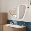 Ben Nature Spiegel 100x3,5x60 cm Geborsteld RVS