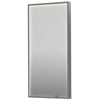 Ben Oblon Spiegel 40x4x80 cm Geborsteld RVS