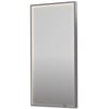 Ben Oblon Spiegel 50x4x100 cm Geborsteld RVS
