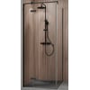 Ben Vivid Draaideur links 100x200 cm Mat Zwart Helder Glas