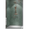Ben Vivid Inloopdouche 100x200 cm Geborsteld Koper Helder Glas