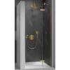 Ben Vivid Nisdraaideur rechts 80x200 cm Geborsteld Messing Helder Glas
