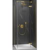Ben Vivid Zijwand voor draaideur 100x200 cm Geborsteld Messing Helder Glas