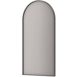 Ben Arcata Spiegel 50x4x100 cm Geborsteld Metal Black