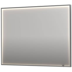 Ben Oblon Spiegel 120x4x80 cm Geborsteld RVS
