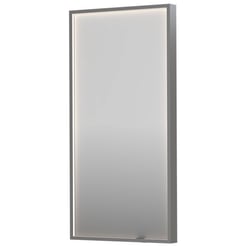 Ben Oblon Spiegel 40x4x80 cm Geborsteld RVS