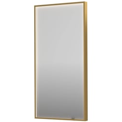 Ben Oblon Spiegel 50x100 cm Geborsteld mat goud