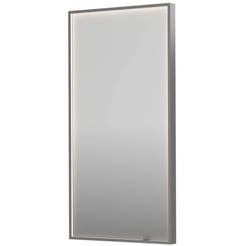 Ben Oblon Spiegel 50x4x100 cm Geborsteld RVS