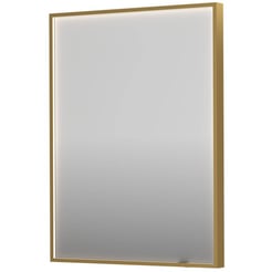 Ben Oblon Spiegel 60x4x80 cm Geborsteld mat goud