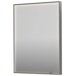 Ben Oblon Spiegel 60x4x80 cm Geborsteld RVS