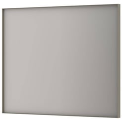 Ben Olij Spiegel 100x4x80 cm Geborsteld RVS