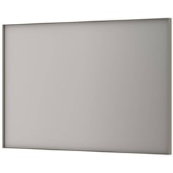 Ben Olij Spiegel 120x4x80 cm Geborsteld RVS
