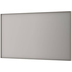 Ben Olij Spiegel 140x80 cm Geborsteld RVS