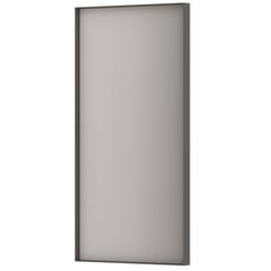 Ben Olij Spiegel 40x4x80 cm Geborsteld Metal Black