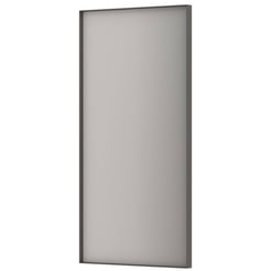 Ben Olij Spiegel 50x4x100 cm Geborsteld Metal Black