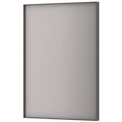 Ben Olij Spiegel 60x4x80 cm Geborsteld Metal Black