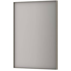 Ben Olij Spiegel 60x80 cm Geborsteld RVS