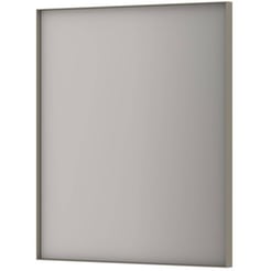 Ben Olij Spiegel 70x4x80 cm Geborsteld RVS