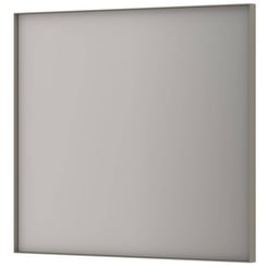 Ben Olij Spiegel 90x4x80 cm Geborsteld RVS