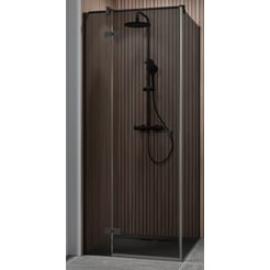 Ben Vivid Draaideur links 120x200 cm Mat Zwart Grijs Glas